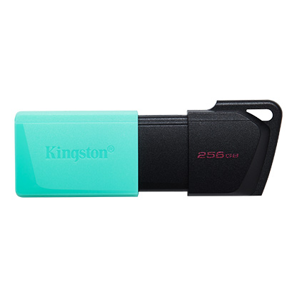 Pen Drive 256 GB Kingston Data Traveler Exodia USB G3 3.2